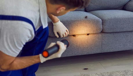 Understanding Pest Control Service Costs: What You Need to Know