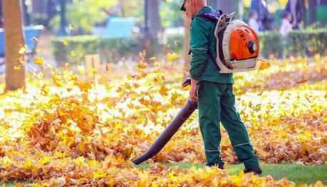 What You Need To Know About Leaf Removal Cost In 2024?